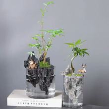 跨境专供 创意树脂微景观造景植物懒人花盆 带玻璃盆栽花器可养鱼