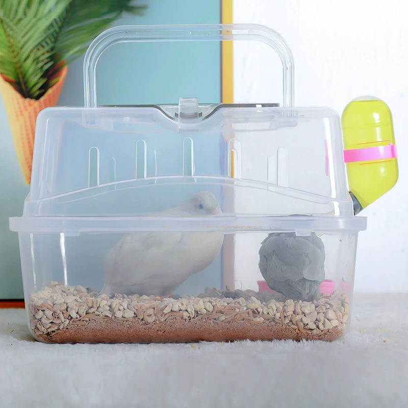 Попугай снаружи клетка, черный феникс птица выходит портативная клетка для птиц, прозрачная клетка для птиц