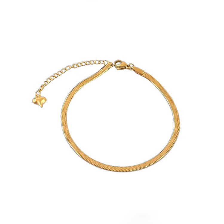 Transfronterizos Europa y América simple y exquisita cadena de hueso de serpiente versátil nueva cadena de tobillas de acero de titanio de moda femenina temperamento dorado cadena de pies de verano