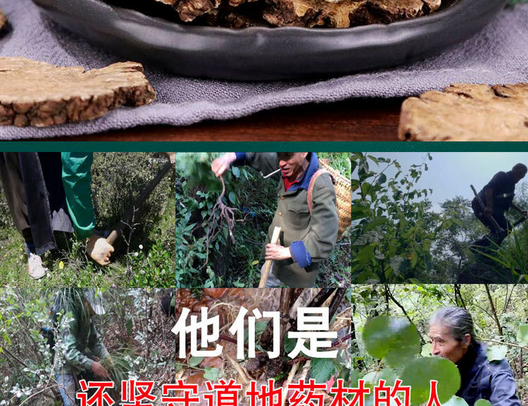 Chuan Xiong Sichuan Lovage Rhizome Slices 500g Dried Chuanxiong Herbal Decoction Pieces overview