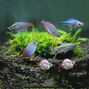 �ݸןᎧ�~�^�p�~늹������~��������늹����������J�ןᎧ�~���w