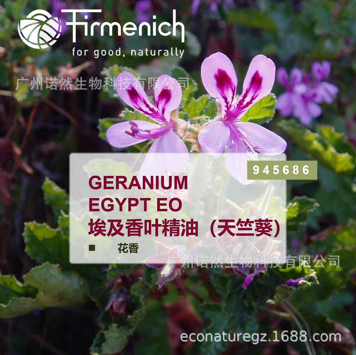 【芬美意】GERANIUM EGYPTE EO 埃及香叶精油（天竺葵）