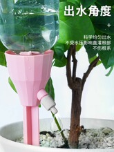 放心出差自动浇花器 阳台花盆滴水器 定时浇水器 厂家现货直供