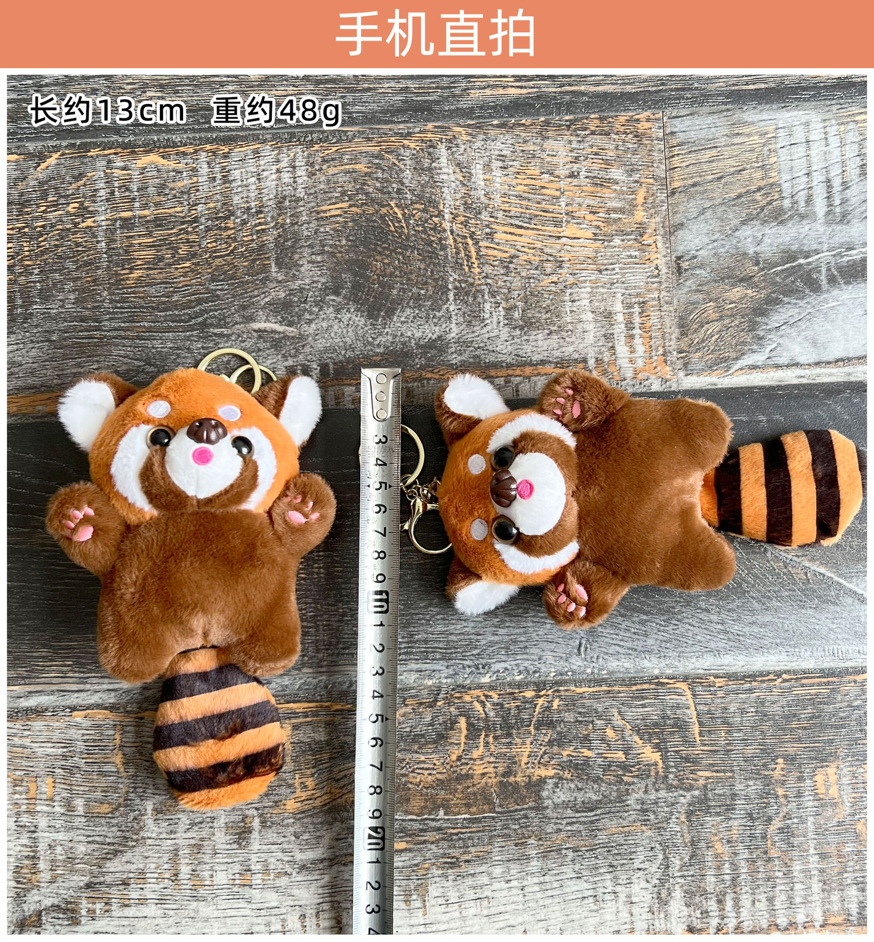 手机实拍-站姿小熊猫.jpg