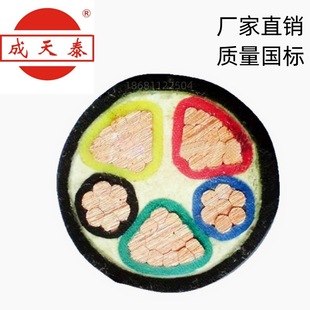 ̩늾|ZC-YJV22-3*70+2*35mm2zb|ȼ~о|