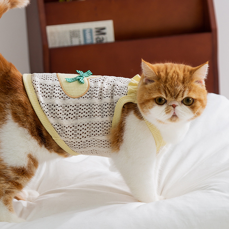 Primavera y verano gatito amor arco eslingas gatito pequeño gatito lindo perro Teddy ropa de mascotas