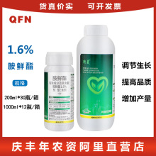 ���� 1.6%���r�� �Ϲ��߲˰ײ˱����������aֲ�����L�{�����rș