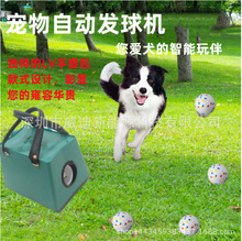 �¿������ ����CPet�W��l���������ԄӒ���C�������Ӗ������