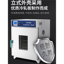 电热恒温鼓风干燥箱实验室小型烘 箱食品烘干机工业高温箱烘干箱