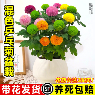 ƹ�Ҿջ����Ԏ������ļ��_���׻��m�ϑ����B�Ļ��҃����r���ܴ�ȫ