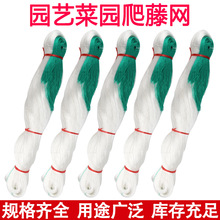 爬藤网 园艺黄瓜植物农用网种植果蔬爬藤网 山药豆角加粗黄瓜网
