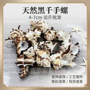 �羳���l��Ȼ��ǧ���ݺ���ؐ���ľ�з��Q���˱��~���쾰�Ҿ��b�