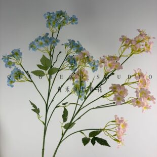 ������ͩ���滨 �߼��п͏d�[�� ��c��Y��·���廨�쾰���üٻ�