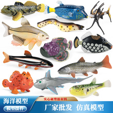 �羳���溣�����ģ�����_�~С���ڏ��~ʯ�^�~�����c�K�~��ͯ���