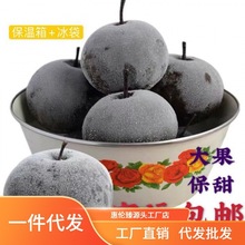 ����������خaˮ������������������\��朰��]�S��ֱ�Nɢ�b