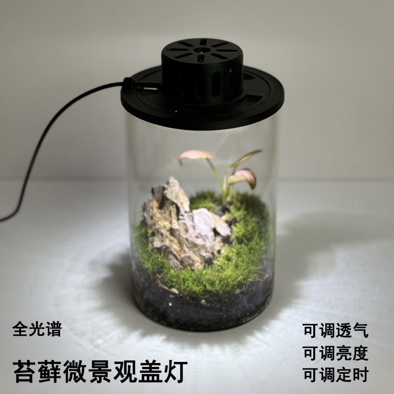 Moss Plant Light Breathable Eco Bottle Light Glass Micro Landscape Spotlight USB Fish Cylinder Light LED Water Plant Light Night Light