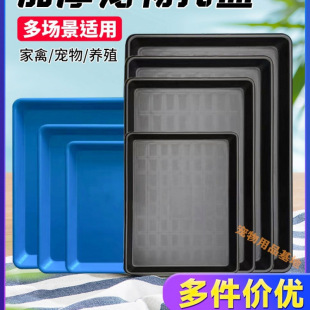 ����\���бP�ӼS��P�L���μӺ�����؈�����B�u���\������̖�бP