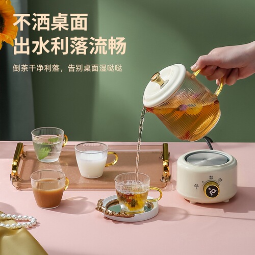 Multifunctional health pot, office tea maker, electric cup, 55% constant temperature mini electric stew cup, holiday gift box set