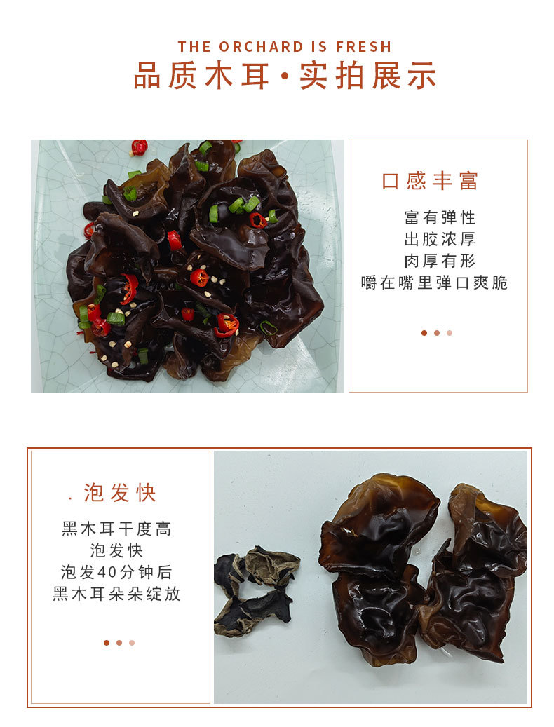 黑木耳_05.jpg