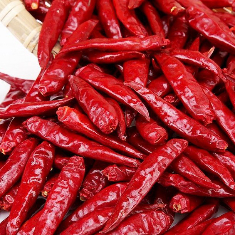 Farm 10g~1 selected Dried chili Chili peppers spicy Paprika Seasoning wholesale