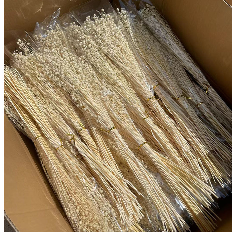 Flor seca Flor eterna Gypsophila Bola de oro No me olvides Flor seca Rosa hoja de eucalipto Pine Fruit Lover Grass al por mayor