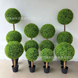 ���N����ֲ������m����Ƶ�͏d�bS��ֱ�N�҃������Gֲ�[��