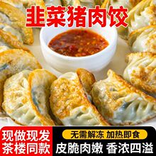 广式韭菜大煎饺子马蹄鲜肉锅贴半成品港式茶楼同款早餐工厂批发