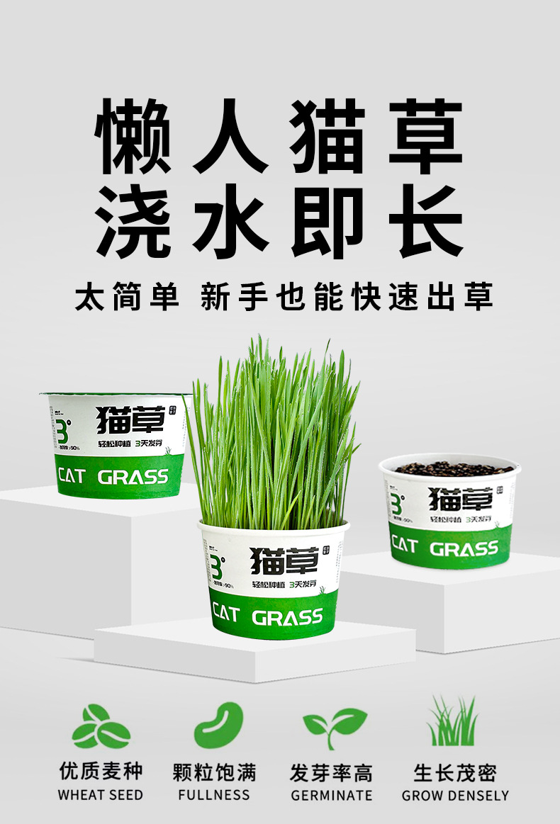 新猫草详情_01.jpg