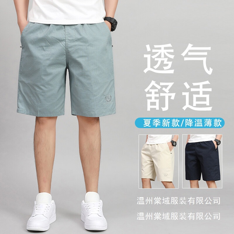 2025 Summer Shorts Elastic Waist Thin Casual Cargo Pants Young Men Large Size Breathable Five-Point Pants Wholesale