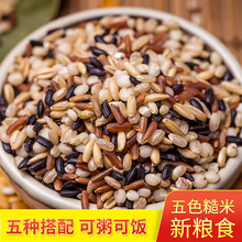 �|����ɫ���״ּZ��ʳ����s�Z����t�ײ�����������s�Z�M�����l