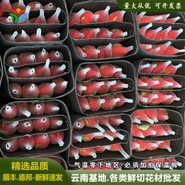 鲜切花;园艺工具;冷链物流包装