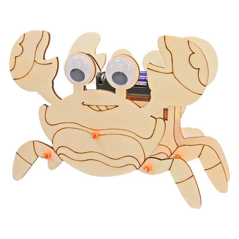 Los niños de Ciencia y Tecnología pequeña producción material didáctico kindergarten hecho a mano DIY experimento científico estudiante regalo juguetes al por mayor