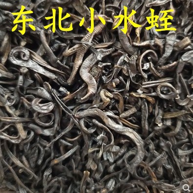 材水蛭蚂蝗干500克 东北小水蛭日本医蛭 清水吊杆货免费磨粉包装