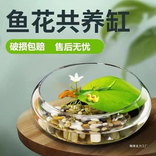 ������ƿ��ɏ�~�Xˮ�ɻ���ˮ�໨�ܾGֲˮ��͏d�����̨�[��