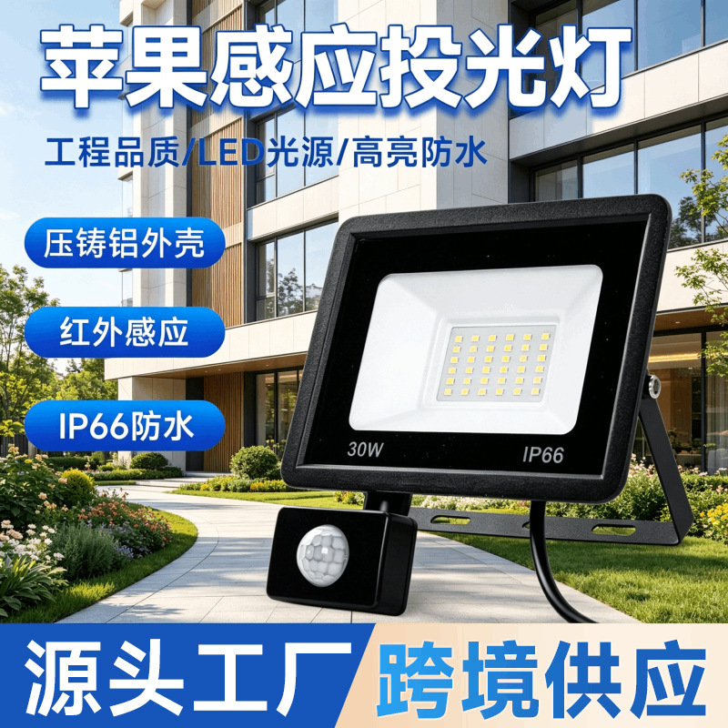 Induction Floodlight 50W100W Outdoor Waterproof Human Body Sensing Football Field Floodlight Small Apple Led Floodlight Induction Floodlight 50W100W Outdoor Waterproof Human Body Sensing Football Field Floodlight Small Apple Led Floodlight
