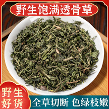 Ұ��͸�ǲ���ș����Ʒ500g����͸�ǲ��в�ș��؛�o����ˮ���_����