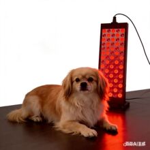 ����USB��ʱ�������ƺ�������Ƶ�100W660.850NM����ؽ�ëë����