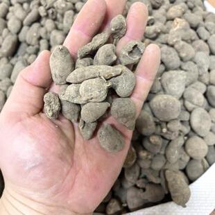 ��ș�� ���~�� ��z�����J �𾀵����J һ�����l