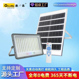 太阳能灯;庭院灯;路灯