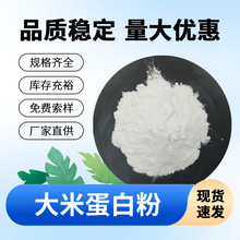大米蛋白粉 现货供应 大米提取物 植物蛋白食品原料 量大从优