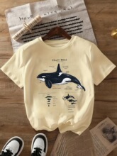 Ůʿ���e����T�� - �ƌW�˺����L���ʈD�����\��ɫ���������OӋ��