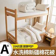 ����������N����2025�¿�AW�������100%���½��޻�����ë��