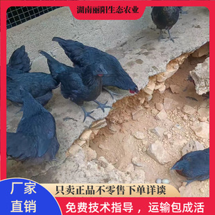 ����ֱ�u��ھG�����u����w����һ���g�u���·��B�ߵ��u�׻���B