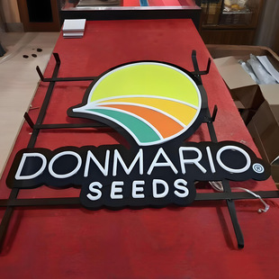 Manufacturer Customized Led Neon Light Luminous Characters Soft Light with Corporate Logo Shape Light with Signboard Logo