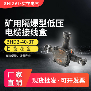 BHD2-40-2T/3T/4T Mine Flameproof Low Voltage Cable Junction Box Explosion-proof Junction Box