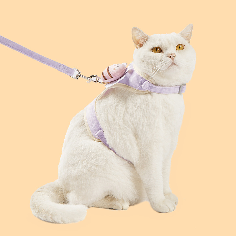 Correa de perro pequeño perro chaleco cuerda de perro oso de peluche correa de perro suministros para mascotas gato correa de pecho
