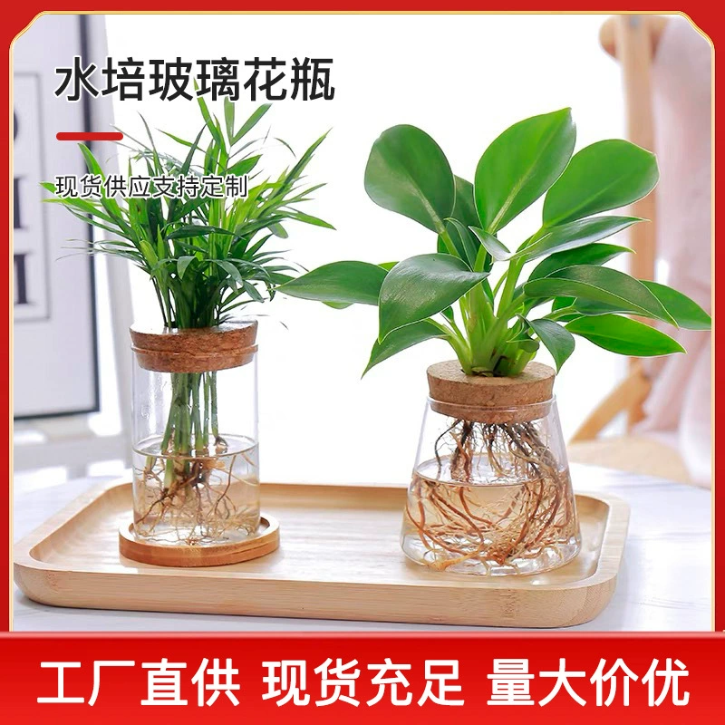 Креативный стеклянный вазон для цветов, стеклянная ваза для гидропонных растений, небольшая ваза в стиле лёгкой роскоши, декоративная ваза для украшения офисного стола