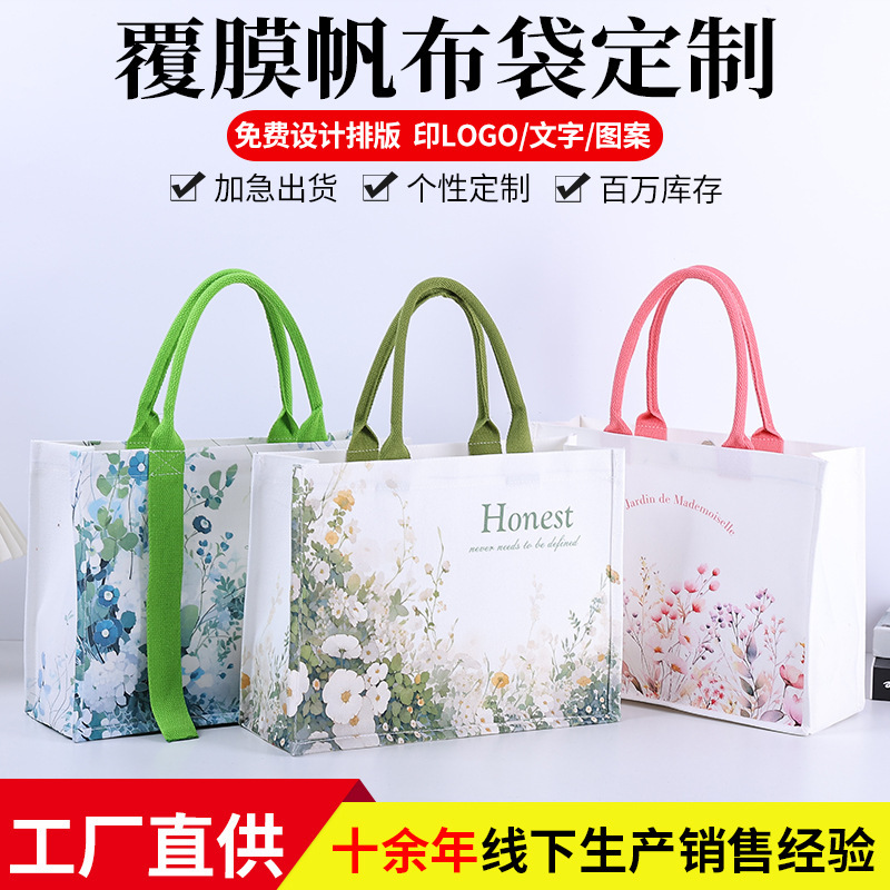 Daisy In-Stock Canvas Tote Bag Large Capacity New Canvas Laminated Bag Custom Trendy 3D Bag