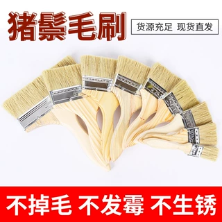 油漆刷清洁扫灰刷棕毛刷猪鬃猪毛刷涂料刷烧烤刷猪鬃油漆刷加厚