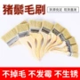 清洁加厚猪鬃扫灰刷涂料刷